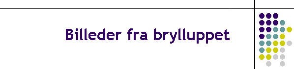 Billeder fra brylluppet